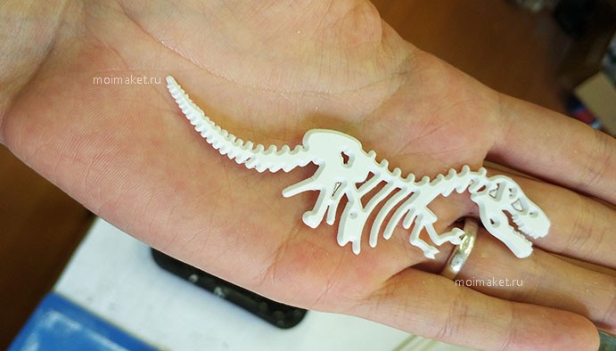 Скелет динозавра на макете