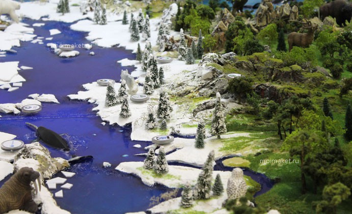 Arctic reservation zone on the model