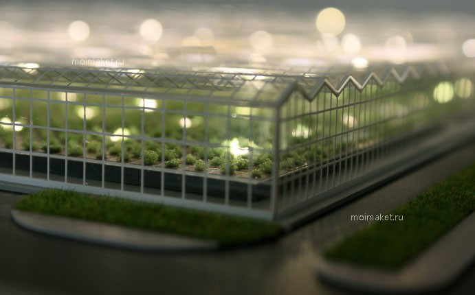 Greenhouse lights