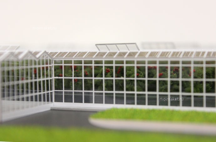 Greenhouse model