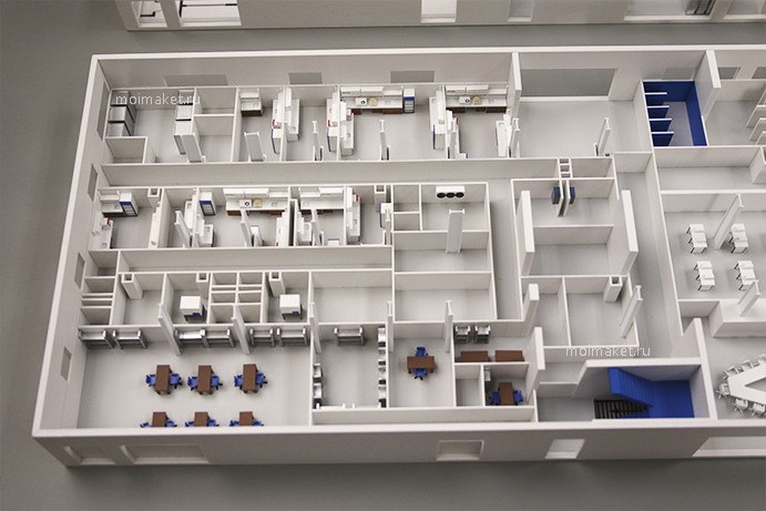 Floor layout on the Mechnikov complex model